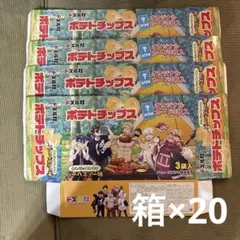 【ドズル社】GIGO限定ポテトチップス オリジナルカード 箱のみ×20