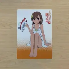 御坂美琴 下敷き 娘type (にゃんタイプ) 2013年 09月号 付録