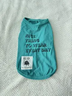 Item thumbnail for item 87250263-5516-47b1-86f9-92a3eaf3a2d3