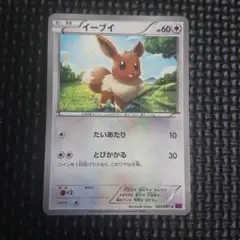 ポケモンカード イーブイ とびかかる XY7