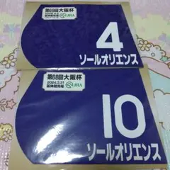 競馬 ミニゼッケン 大阪杯 ソールオリエンス