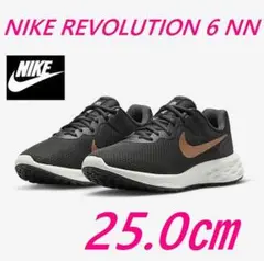 L2新品 25.0㎝ ナイキ レボリューション6 ランニングDC3729-009