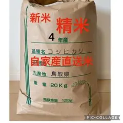 《20キロ玄米を精米して減量》新米お米18kg 令和4年鳥取県産 コシヒカリ
