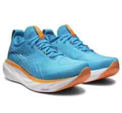 user_09ec4f56さん専用ASICS Gel-nimbus25 29cm