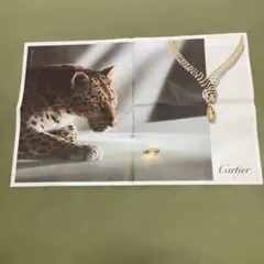 Item thumbnail for item 32cd25e0-912d-4b5f-8272-d98687806601