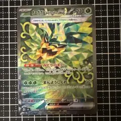 オーガボンみどりのめんEX SAR RRセット