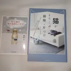 Item thumbnail for item f29e8ead-2885-4b85-90d0-be7b72f385bb