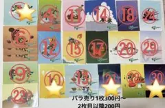 さーもん様　専用出品