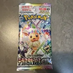ポケモンカードゲーム 新品未開封　テラスタルフェスex 1BOX分　10パック