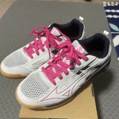 Item thumbnail for item 542a5cff-3d07-4cd3-8733-cf142dbd14ee