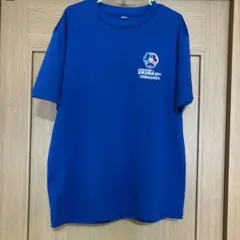 【激レア】バレーボール　南東北インターハイTシャツ 2017 XO 2025年最新】南東北総体の人気アイテム - メルカリ