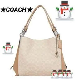 COACH❤ダルトン シグネチャー キャンバス❤新品、未使用❤