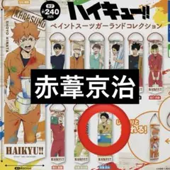 ハイキュー!! ペイントスーツガーランドコレクション