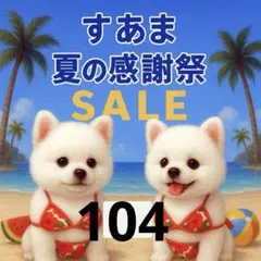✨夏の感謝祭セール✨パネル【Ｎｏ．104】