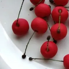 2 さくらんぼ チェリー フェイクスイーツデコパーツ 推し活