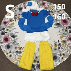 Item thumbnail for item e80594c1-e18a-4e36-924b-b33f6212a39b