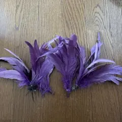 タヒチアン　フェザー