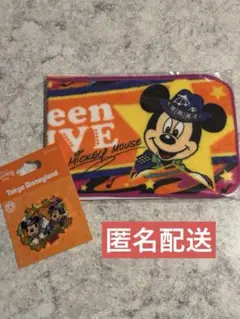 【新品】東京ディズニーランド　ハロウィン　2016年　ピンバッジ＆タオル