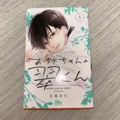 お姉ちゃんの翠くん 少女漫画 目黒あむ 1巻