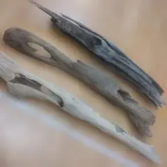 Item thumbnail for item f159ef96-86ca-4b13-a2e3-abf82c716e17