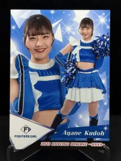 Item thumbnail for item 9fa1a0b2-9cd5-4b4e-b1b3-2fc642b85db7