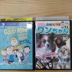 〈DVD中古品〉きみはいい人チャーリーブラウン＋ワンちゃんスペシャル
