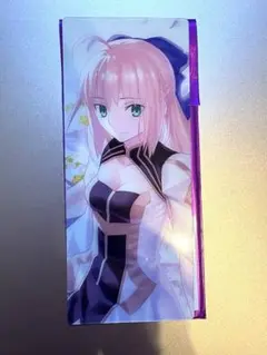FGO　アルトリアキャスター(キャストリア)