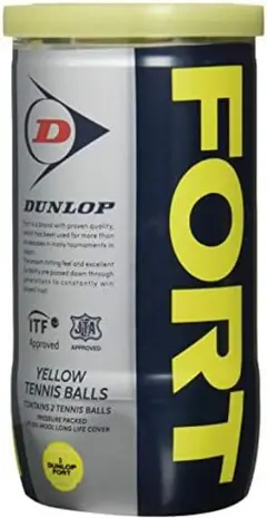ダンロップ DUNLOP テニスボール DUNLOP FORT 4球 2缶