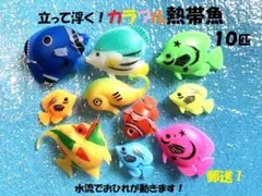 ★１０個★カラフル熱帯魚★立って浮く　尾ひれが動く　水遊び　お風呂　郵送