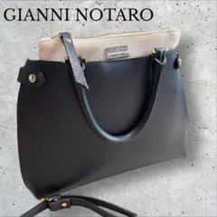 GIANNI NOTARO ジャノニ ノターロ ミニカーヴィーバッグ WEB限定