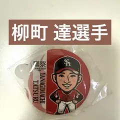 柳町達選手　若鷹ガチャ　缶バッジ　鷹祭　福岡ソフトバンクホークス