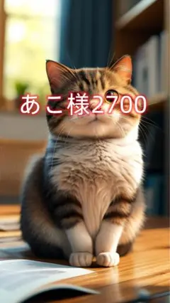 あこ様2700