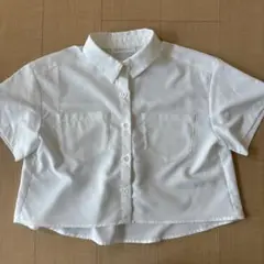 Item thumbnail for item 5832a44b-684d-4a57-bd9a-9f000841bf3f