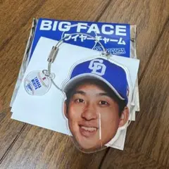 中日ドラゴンズ ワイヤーチャーム 田中幹也