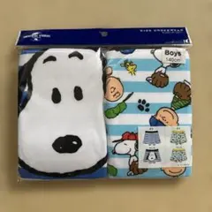 Item thumbnail for item d42aa0d1-a9e5-4466-b159-14c5c3d13970