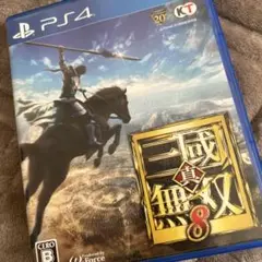 真・三國無双8