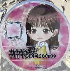 櫻坂46 ドームスタンド　1等　新品