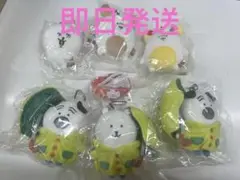 Item thumbnail for item 740043e6-a5cd-43ff-a259-795907df180a