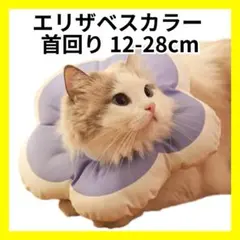 Item thumbnail for item 56fc57d5-0f64-40bb-ad55-966dd436c9a5