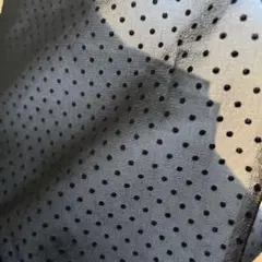 黒のシースルー洋服生地 水玉 ワンピースやスカートに黒色