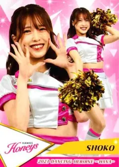 Item thumbnail for item 5502105f-0a41-4f6f-8af6-e58c79ac7c26