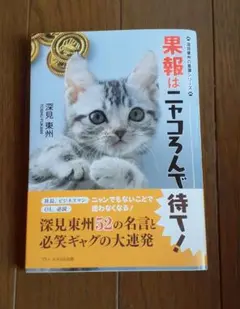 果報はニャコろんで待て!