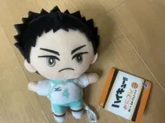 ハイキュー　みにコレ