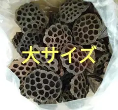 蓮の実　花托　ちりめん細工　つまみ細工　手作り素材　フラワーアレンジメント