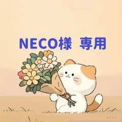 NECO様　専用(9/6迄)