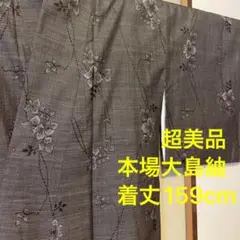 超美品 着物 きもの 縦横 本場大島紬 正絹 黒 焦茶色 泥