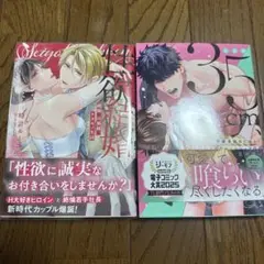 TLコミック　2冊セット