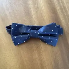 Item thumbnail for item 3a790812-32f7-41a5-b837-93ec41346933