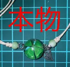 ★四つ葉のクローバー★ブレスレット★植物★標本★アクセサリー★理科★科学★生物★