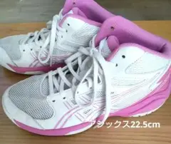バスケットシューズ 22.5cm 女の子